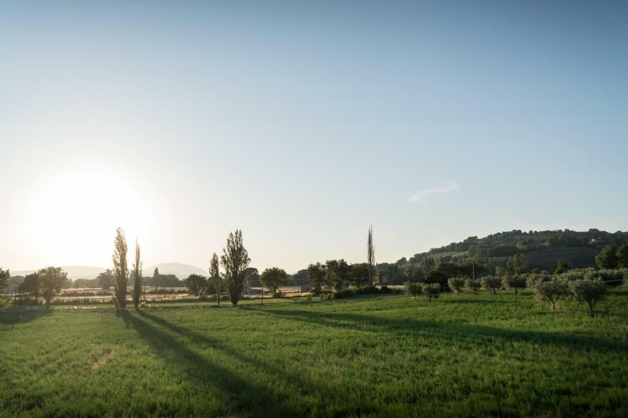 Bed & Breakfast Al Pian d'Assisi Exterior foto
